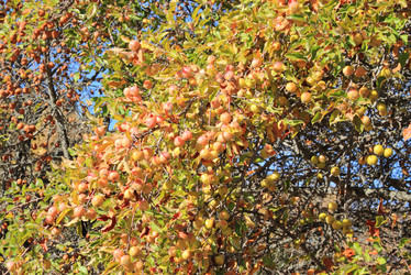 Similar image 6638610