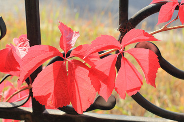 Similar image 6638611