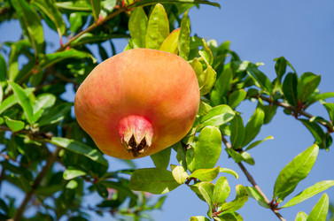 Similar image 6638617