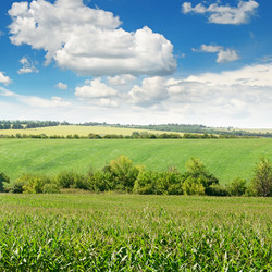 Similar image 6638982