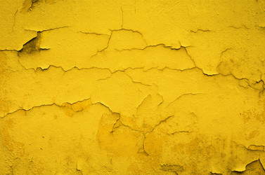 Similar image 6639037