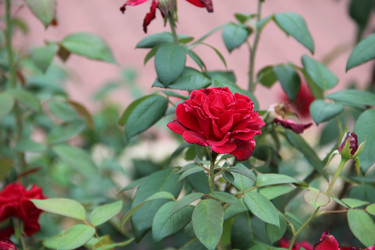 Similar image 6639053