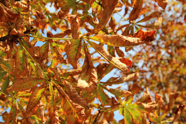 Similar image 6639055