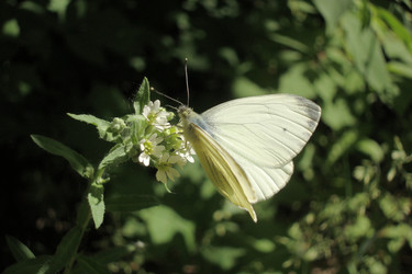 Similar image 6639056