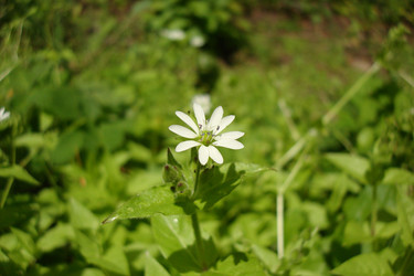 Similar image 6639057