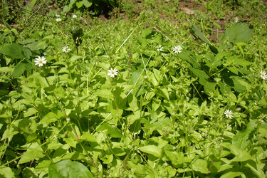 Similar image 6639058