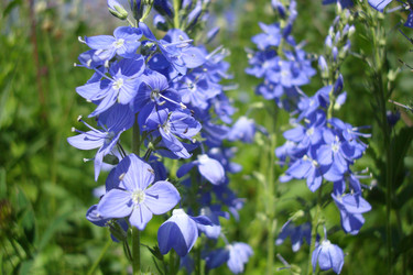 Similar image 6639059