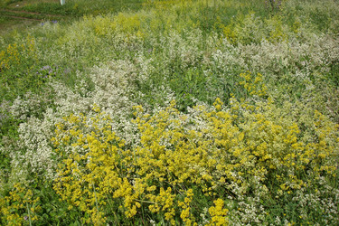 Similar image 6639060