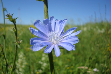 Similar image 6639061