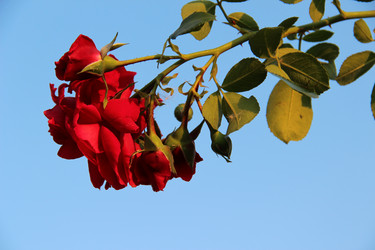 Similar image 6639066