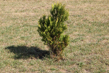 Similar image 6639067