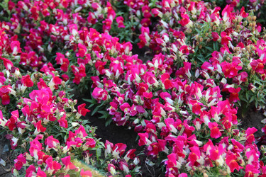 Similar image 6639068