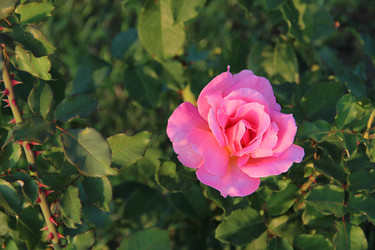 Similar image 6639074