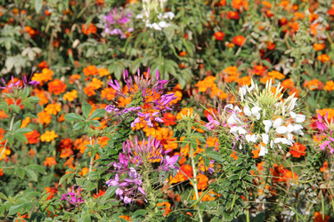 Similar image 6639075