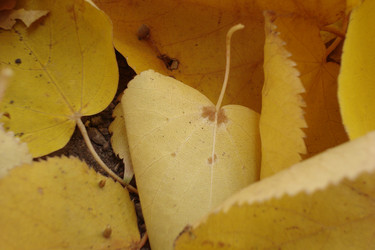 Similar image 6639091