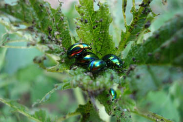 Similar image 6639092