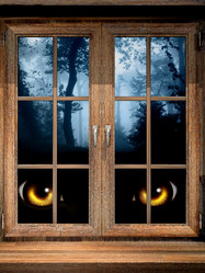 Similar image 6639173