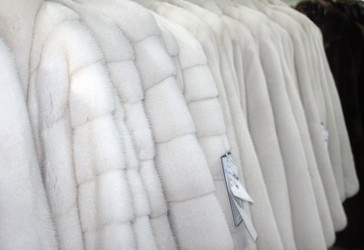 Similar image 6639185