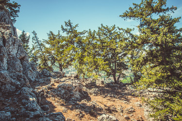 Similar image 6639379