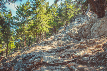 Similar image 6639390