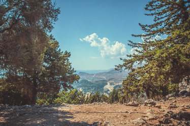 Similar image 6639391