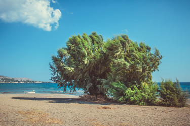 Similar image 6639513