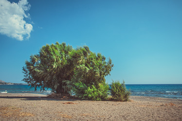 Similar image 6639514