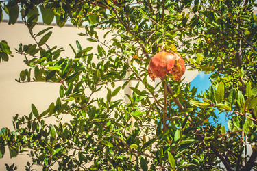 Similar image 6639525