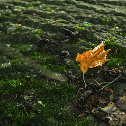 Similar image 6639547