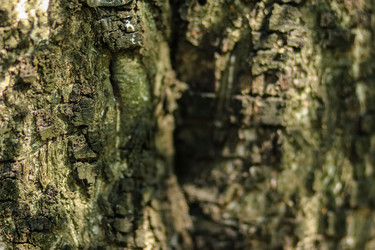 Similar image 6639549