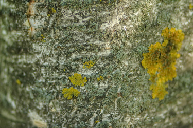 Similar image 6639551