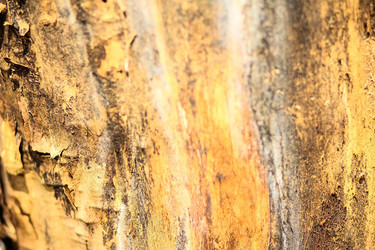 Similar image 6639552