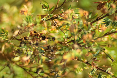 Similar image 6639554