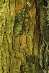 Similar image 6639556