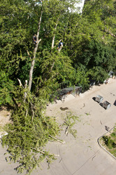 Similar image 6639558