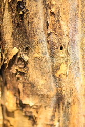 Similar image 6639559