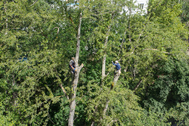 Similar image 6639580