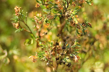 Similar image 6639584