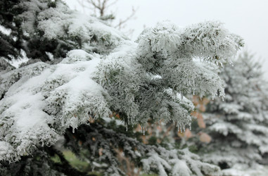 Similar image 6639595