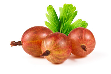 Similar image 6639596