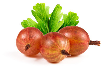 Similar image 6639600