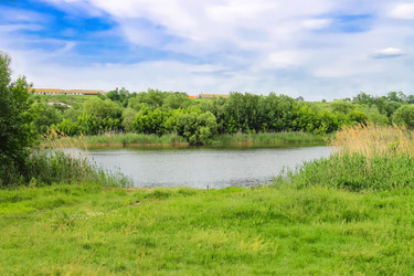 Similar image 6639636