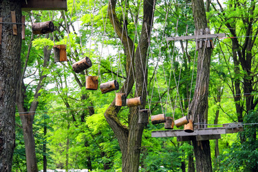 Similar image 6639647