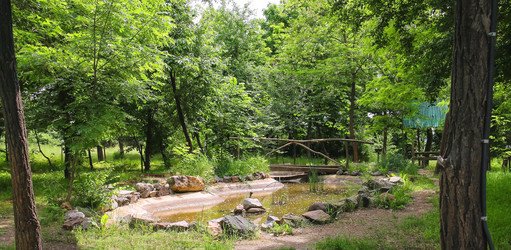 Similar image 6639662