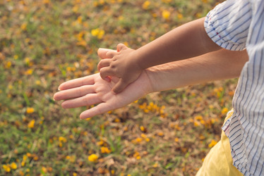 Similar image 6639802