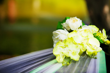 Similar image 6639965