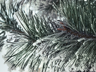 Similar image 6640087