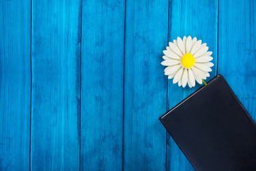 Similar image 6640389