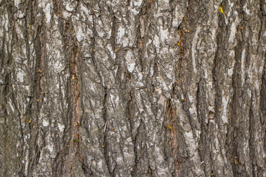 Similar image 6640544