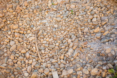 Similar image 6640603